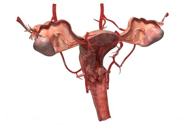 a kismedencei visszértágulat kialakulásának okai